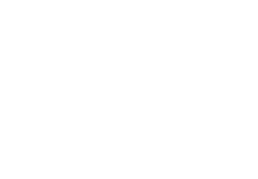 Fer Van Dash logo
